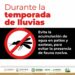 Gobierno Estatal emite medidas sanitarias por plaga de moscas