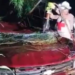 Una persona fallecida luego de un accidente en la carretera Valles-Tamazunchale