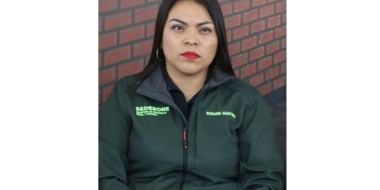 VIDEO: María del Rosario Martínez nueva titular de la Sedesore