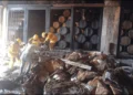 Seis personas fallecidas tras explosión de tequilera en Jalisco
