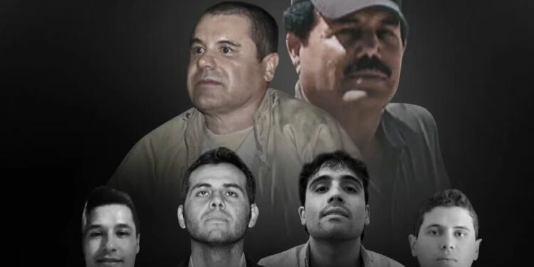 WSJ: Los chapitos tienen 5,000 personas en su grupo, pero el Mayo tiene mas alianzas
