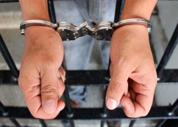 Dos hombres han sido detenidos por su participación en un robo a un peatón en el cuadrante norte