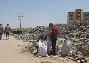 Israel y Hamás suspenden la guerra en Gaza durante tres días con el fin de realizar vacunas contra la polio
