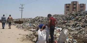 Israel y Hamás suspenden la guerra en Gaza durante tres días con el fin de realizar vacunas contra la polio