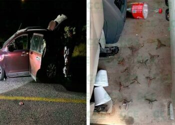 Encuentran vehículo accidentado de origen dudoso