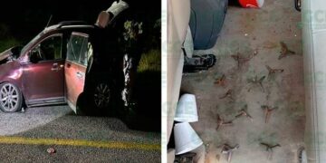 Encuentran vehículo accidentado de origen dudoso