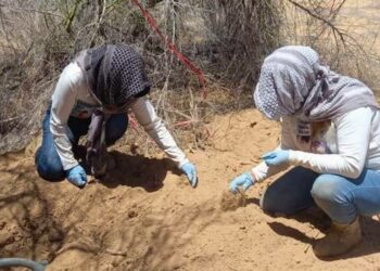 Buscadoras de Sonora encuentran fosa clandestina con 14 cuerpos en Guaymas