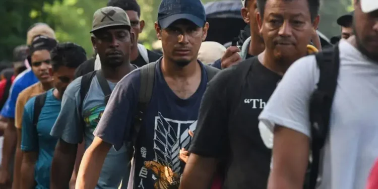 “Inédito flujo migratorio a la inversa”: la violencia de los cárteles obliga a mexicanos a irse a Guatemala