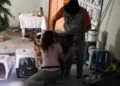 Casa del miedo en Coyoacán: La casa donde se hacían rituales de santería con animales