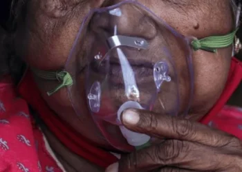 El virus Chandipura ya dejó 59 muertos en India: cómo se transmite y cuáles son los síntomas