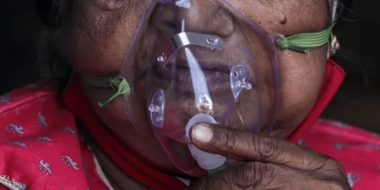 El virus Chandipura ya dejó 59 muertos en India: cómo se transmite y cuáles son los síntomas