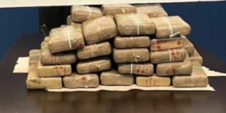 En la frontera entre Texas y Tamaulipas, se confiscaron más de un millón de dólares en cocaína