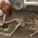 Los cuerpos de una pareja en Pompeya, víctimas del Vesubio, junto a un “pequeño tesoro”
