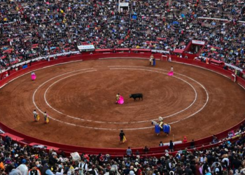 Diputados han aprobado la reforma de protección animal, sin embargo, han excluido las corridas de toros y las peleas de perros
