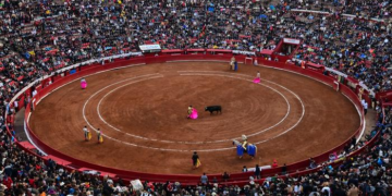 Diputados han aprobado la reforma de protección animal, sin embargo, han excluido las corridas de toros y las peleas de perros