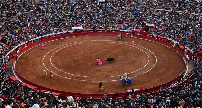 Diputados han aprobado la reforma de protección animal, sin embargo, han excluido las corridas de toros y las peleas de perros