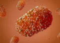 4 preguntas sobre la enfermedad que llevó a la OMS a declarar una emergencia sanitaria global: cuán grave es el brote de mpox