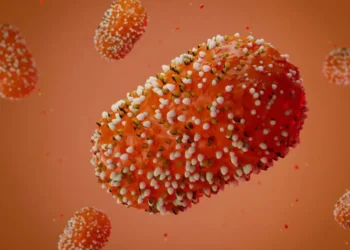 4 preguntas sobre la enfermedad que llevó a la OMS a declarar una emergencia sanitaria global: cuán grave es el brote de mpox