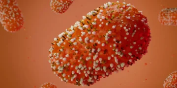 4 preguntas sobre la enfermedad que llevó a la OMS a declarar una emergencia sanitaria global: cuán grave es el brote de mpox