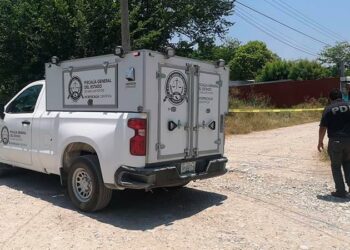 En Tampamolón, un niño de 8 años perdió la vida luego de haber sido arrollado
