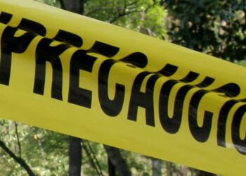 Un excandidato a diputado del Partido Verde Ecologista de México en Veracruz fue asesinado