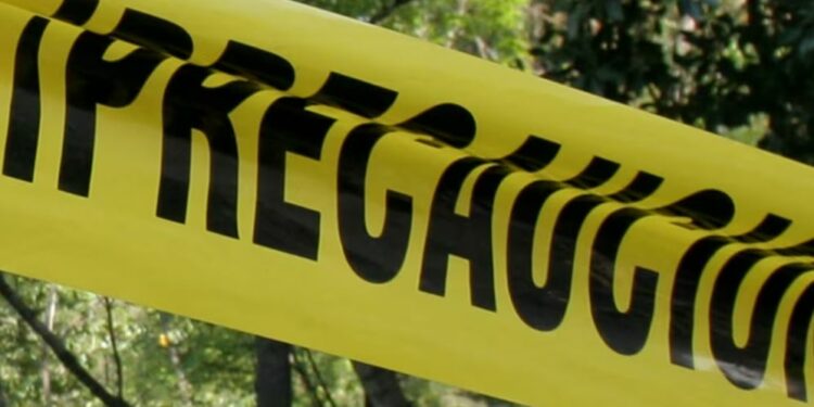 Un excandidato a diputado del Partido Verde Ecologista de México en Veracruz fue asesinado