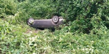 Conductor se quedó dormido y cayó por un barranco, pero se salvó de milagro