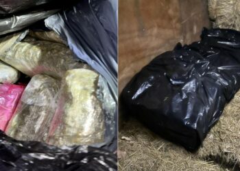 A un hombre lo condenan por transportar más de una tonelada de marihuana