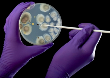 Las personas que deciden infectarse a propósito con virus y bacterias, y las preguntas éticas que surgen por esta acción