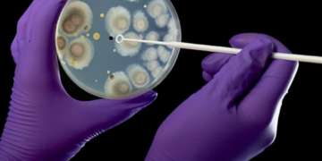Las personas que deciden infectarse a propósito con virus y bacterias, y las preguntas éticas que surgen por esta acción