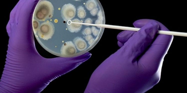 Las personas que deciden infectarse a propósito con virus y bacterias, y las preguntas éticas que surgen por esta acción