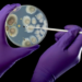 Las personas que deciden infectarse a propósito con virus y bacterias, y las preguntas éticas que surgen por esta acción