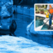 Hombre fallece al caer en estanque de lobos marinos en el Zoológico de Chapultepec