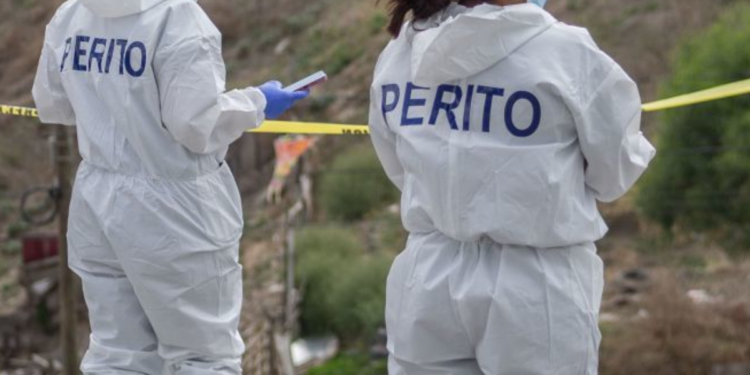 Ocho personas fallecen en tiroteo entre bandas del Cartel de Sinaloa y del Cartel de Juárez en Chihuahua