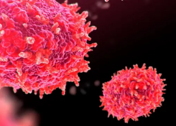 Casos de mpox han aumentado 89% en Europa: OMS