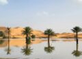 El Sahara experimentó su primer episodio de inundación en cincuenta años