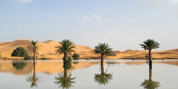 El Sahara experimentó su primer episodio de inundación en cincuenta años