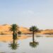 El Sahara experimentó su primer episodio de inundación en cincuenta años