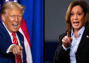 En el sondeo del WSJ, Harris y Trump empatan en los estados indecisos de Estados Unidos