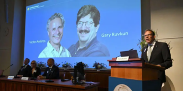 ¿Qué son los microARN que llevaron a Victor Ambros y Gary Ruvkun a recibir el Premio Nobel de Medicina?