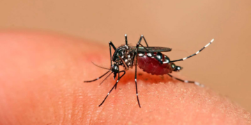 Se reportan 42 nuevos casos de dengue