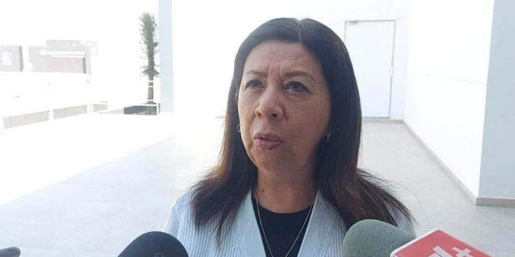 La fiscalía se niega a revelar si Lutzow contó con la ayuda de otras personas