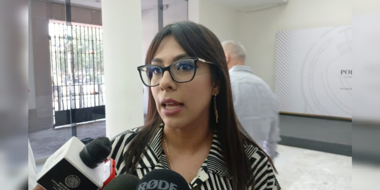 Diputada de Morena lamenta la falta de información sobre la entrega de pensiones a personas con discapacidad