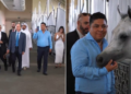La Sedeco defiende ante los diputados la visita de Gallardo a un Centro Ecuestre en Qatar