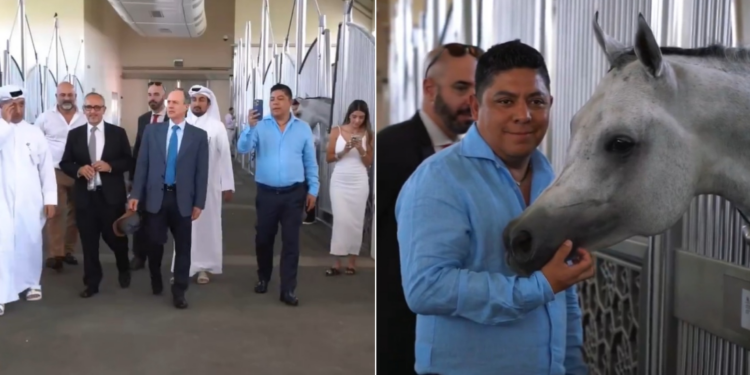 La Sedeco defiende ante los diputados la visita de Gallardo a un Centro Ecuestre en Qatar
