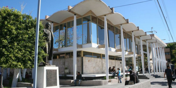 Las chinches están invadiendo la Facultad de Derecho