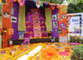 Mascotas también tienen su propio altar de Día de Muertos