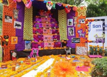 Mascotas también tienen su propio altar de Día de Muertos
