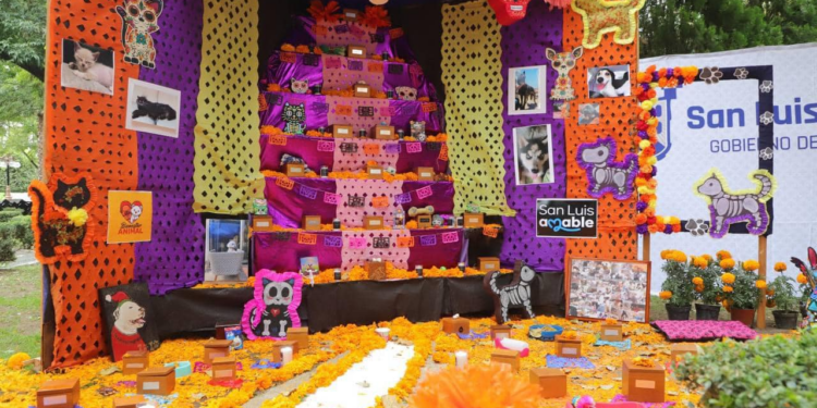 Mascotas también tienen su propio altar de Día de Muertos
