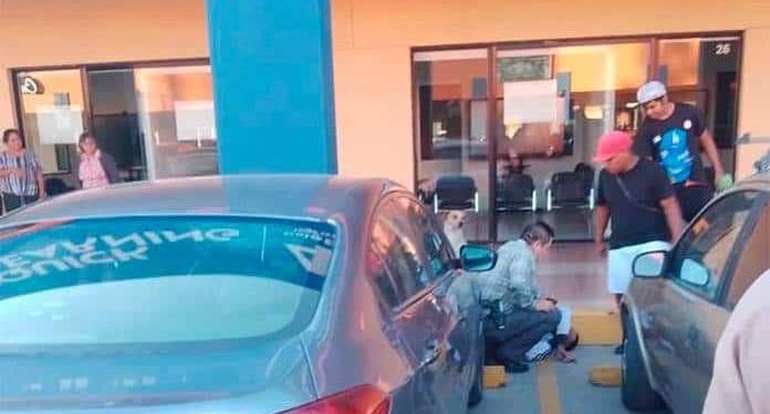 Mientras escapaba, delincuente terminó cayendo sobre el parabrisas de un coche